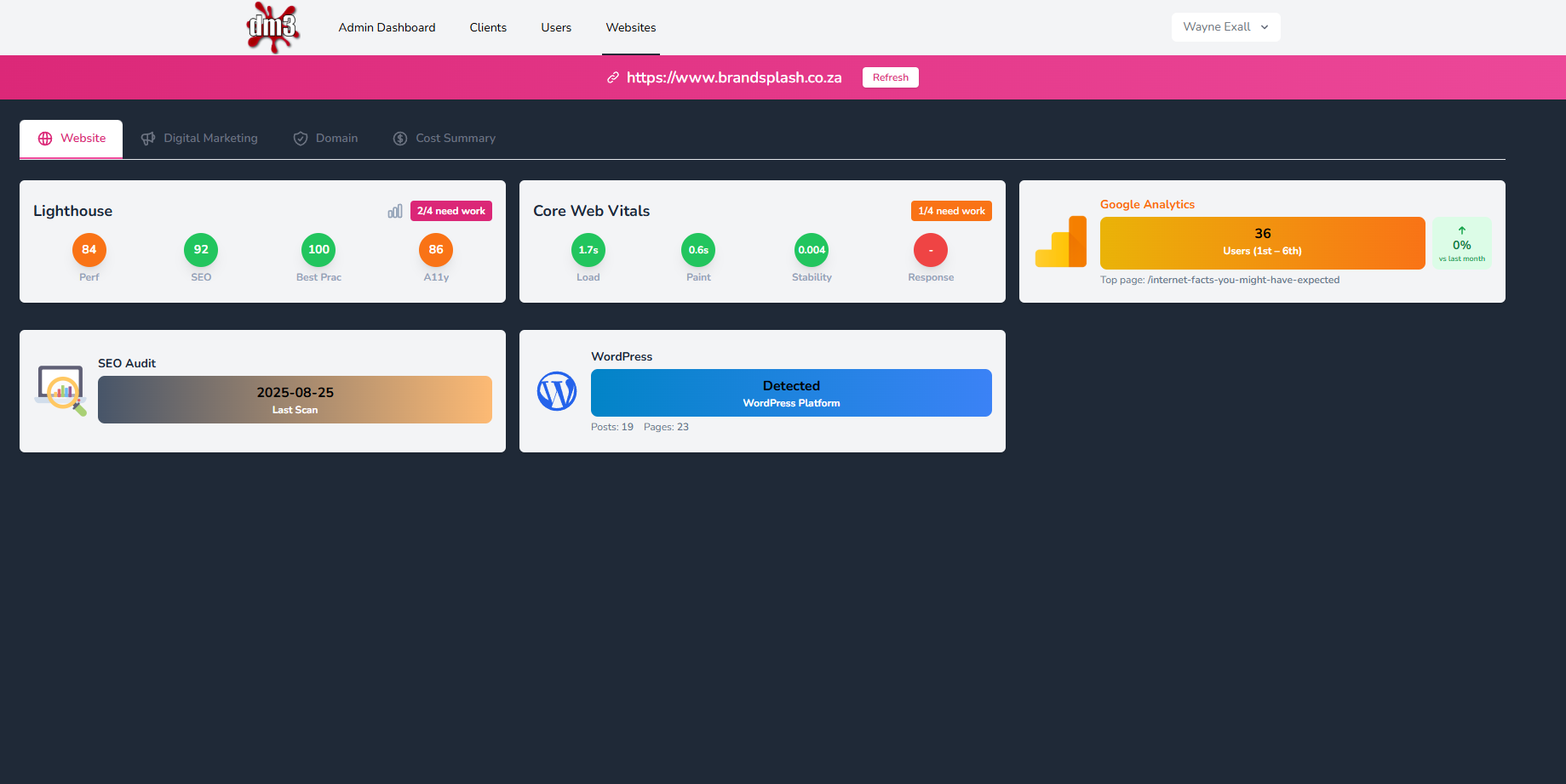 DM3 Website Performance tab — Lighthouse, Core Web Vitals, GA, SEO, WordPress detection